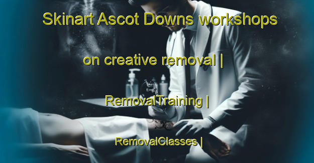 Skinart Ascot Downs workshops on creative removal | RemovalTraining | RemovalClasses | SkinartTraining-United States